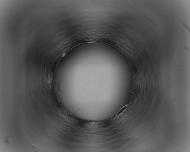 X0000091680082200709131556