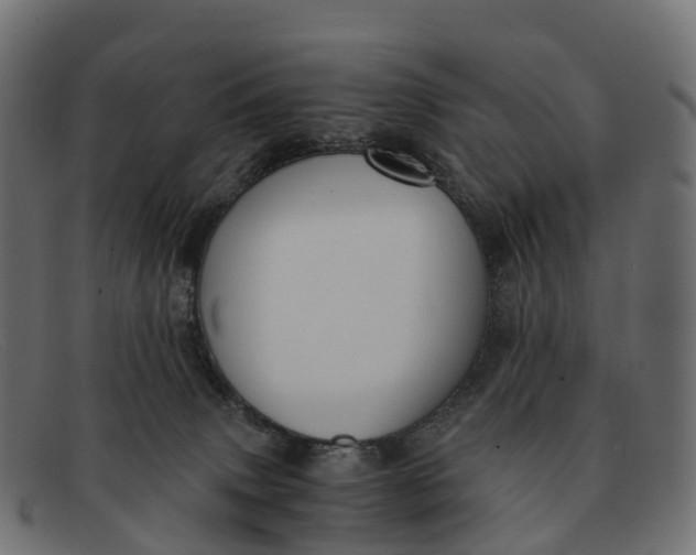 X0000091680083200709131556