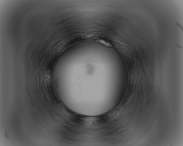 X0000091680085200709131556