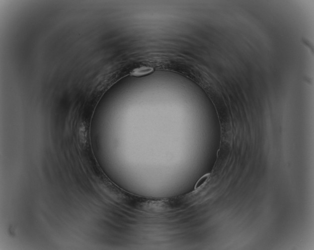 X0000091680086200709131556