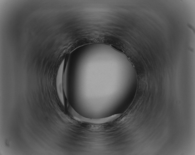 X0000091680088200709131556