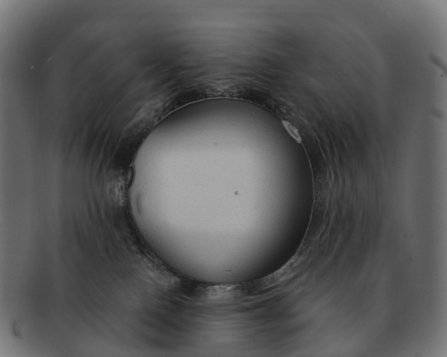 X0000091680090200709131556