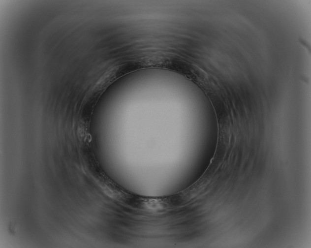 X0000091680091200709131556