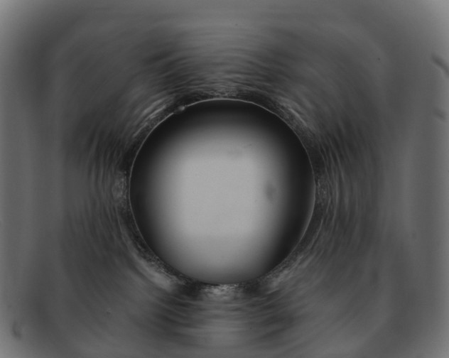 X0000091680092200709131556