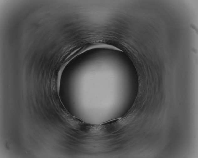 X0000091680096200709131556