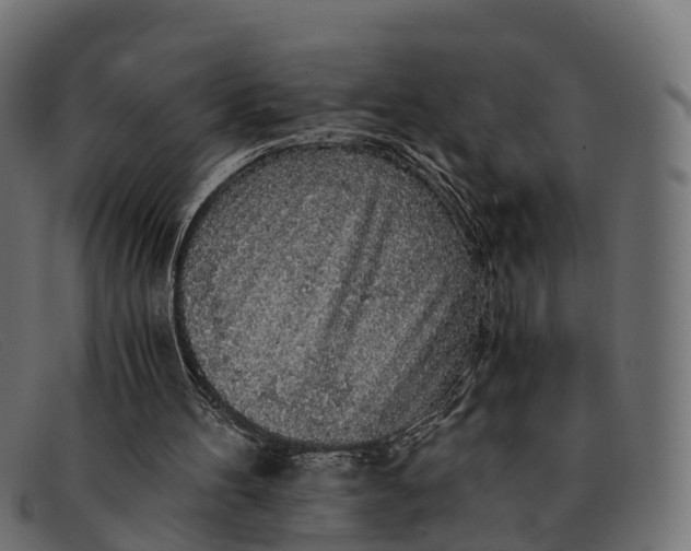 X0000091680100200709131555