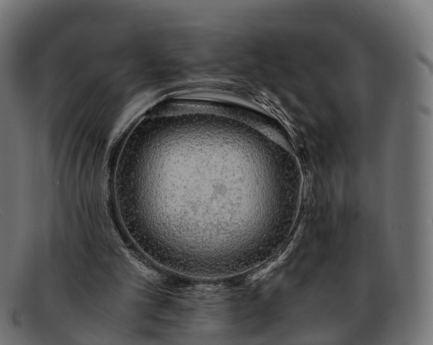 X0000091680101200709131555