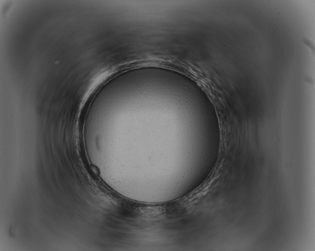 X0000091680102200709131555