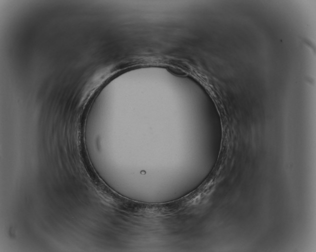 X0000091680103200709131555