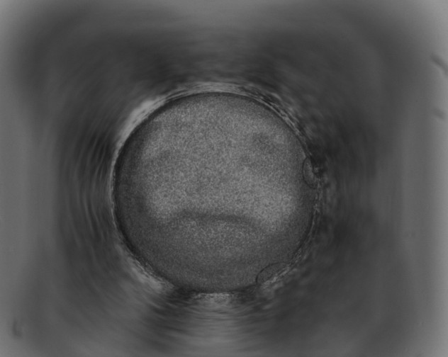 X0000091680104200709131555