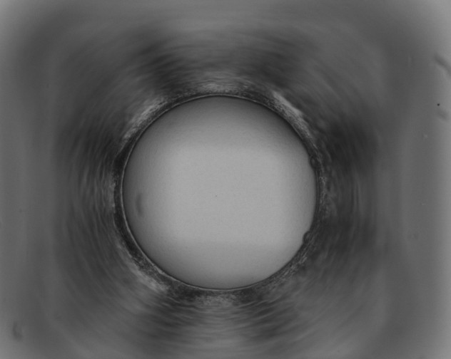 X0000091680106200709131555