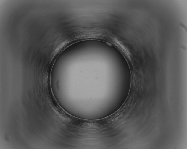 X0000091680107200709131555