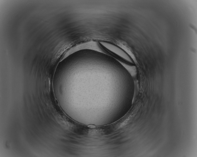 X0000091680109200709131555