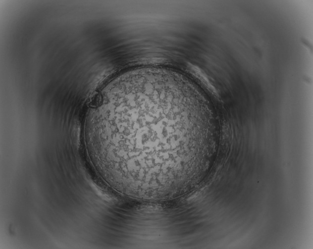 X0000091680110200709131555