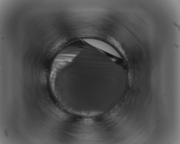 X0000091680114200709131555