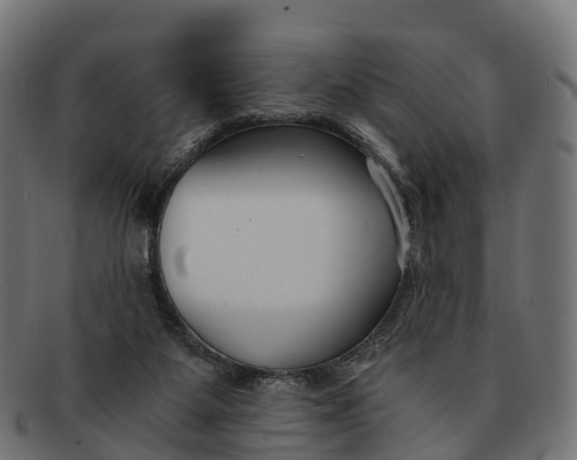 X0000091680115200709131555