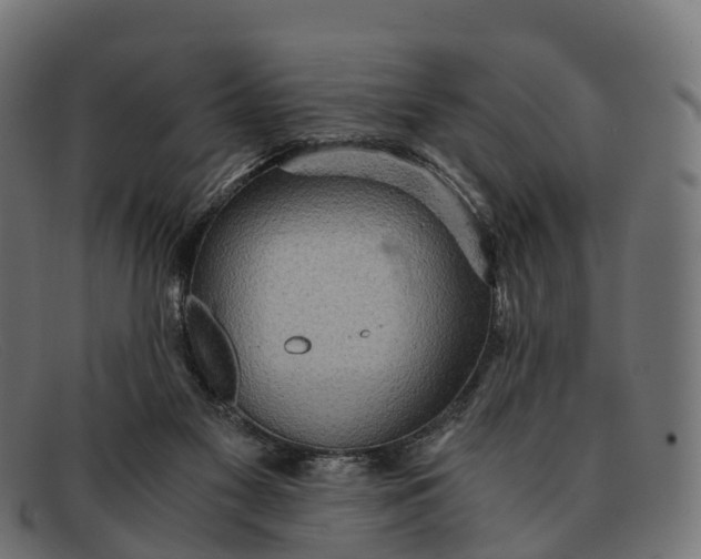 X0000091680117200709131555