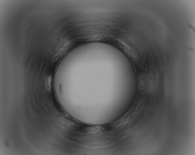 X0000091680118200709131555