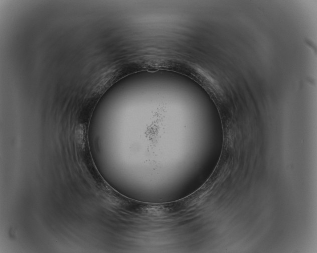 X0000091680121200709131555