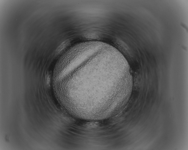 X0000091680124200709131555