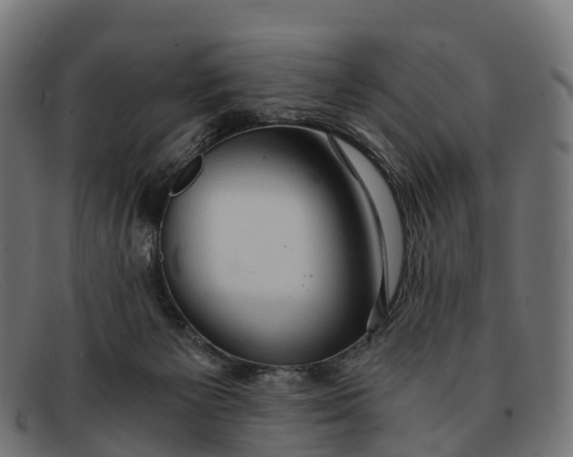 X0000091680125200709131555