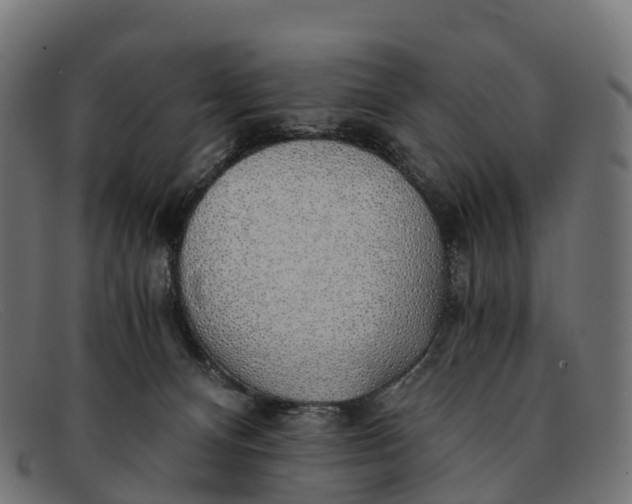 X0000091680128200709131555