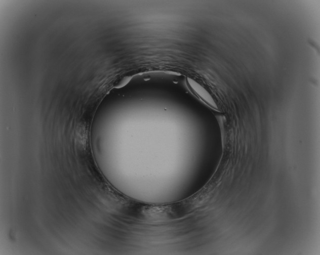 X0000091680129200709131555