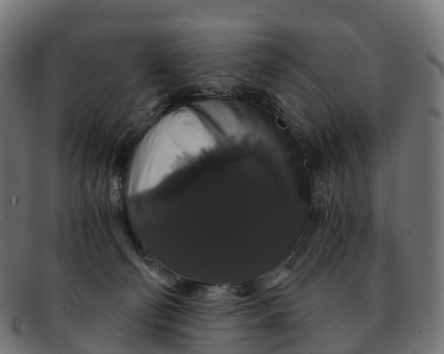 X0000091680130200709131555