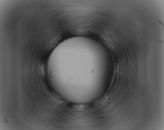 X0000091680131200709131555