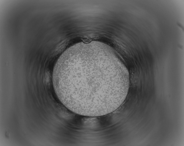 X0000091680132200709131555