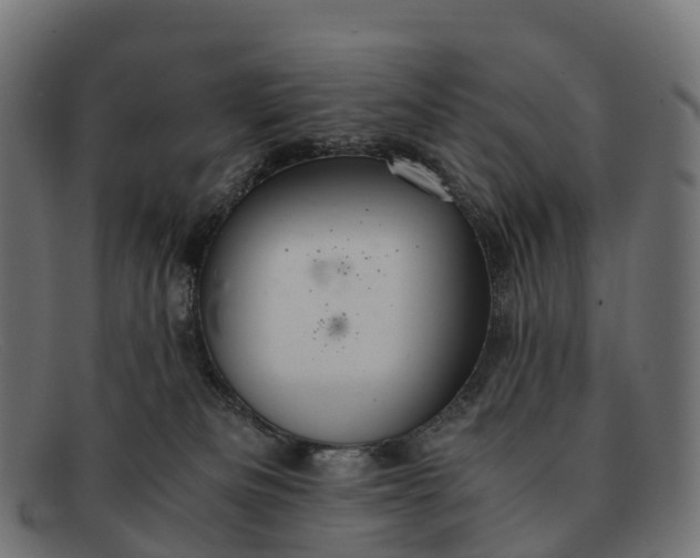 X0000091680133200709131555