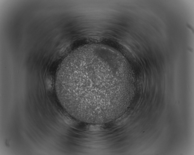 X0000091680134200709131555