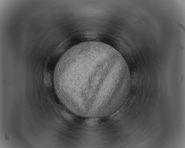 X0000091680136200709131555