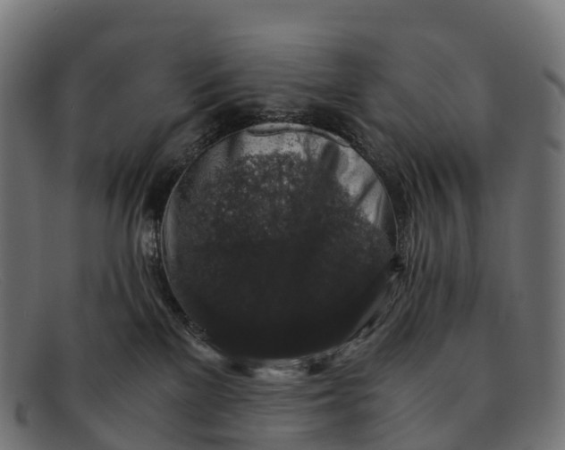 X0000091680137200709131555