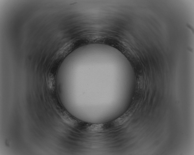 X0000091680138200709131555