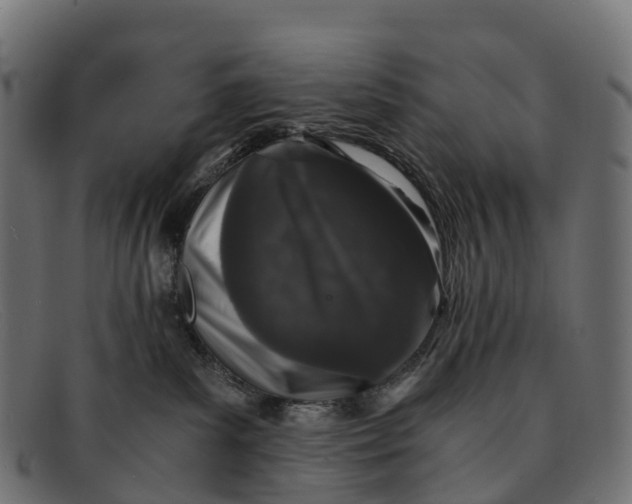 X0000091680139200709131555