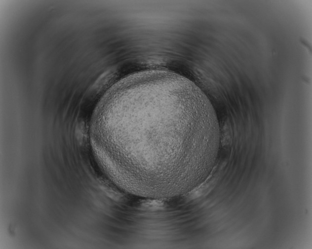 X0000091680140200709131555