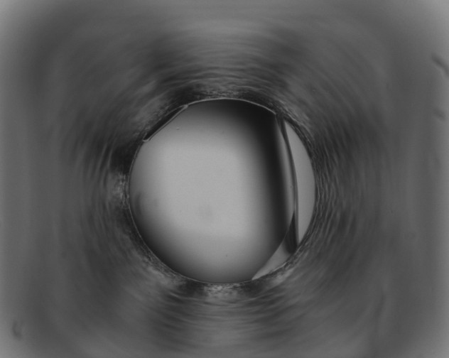 X0000091680141200709131555