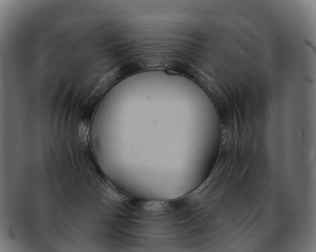 X0000091680142200709131555