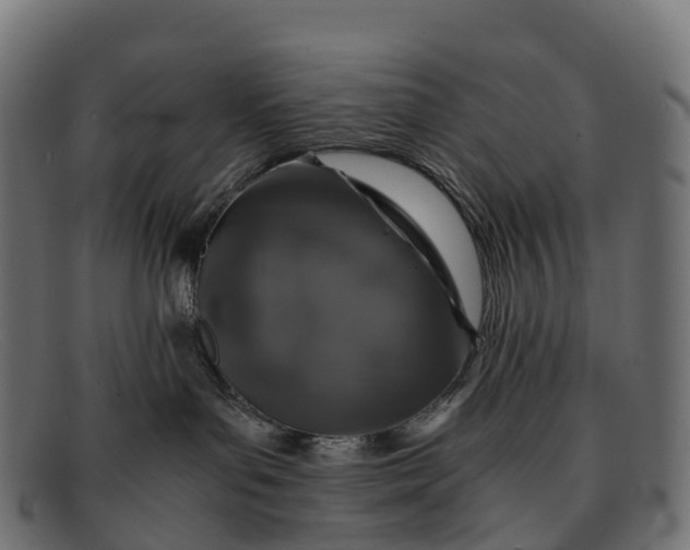 X0000091680143200709131555