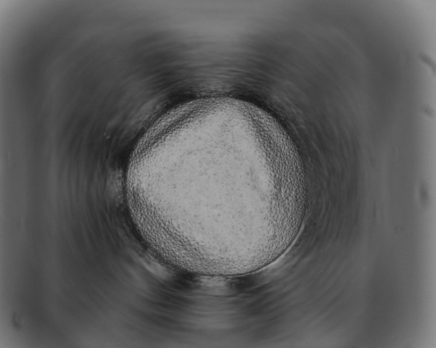 X0000091680144200709131555