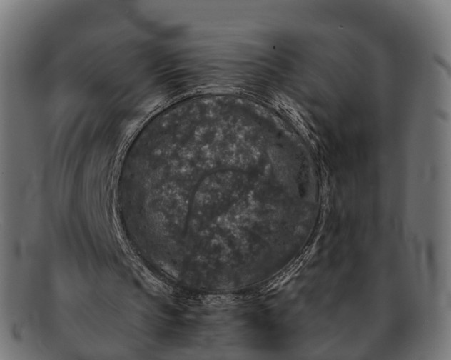 X0000091680145200709131554