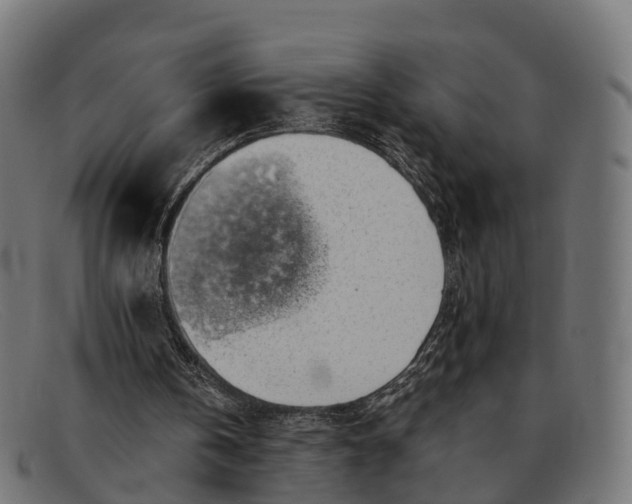 X0000091680146200709131554