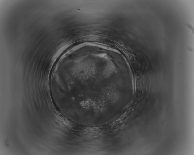 X0000091680147200709131554