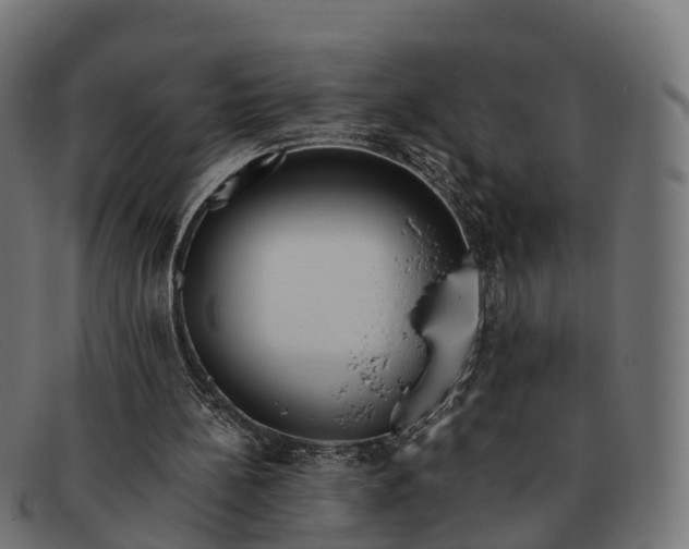 X0000091680148200709131554