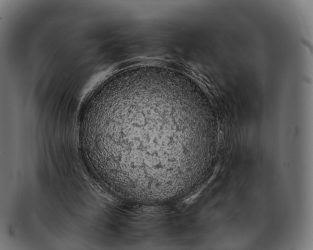 X0000091680149200709131554