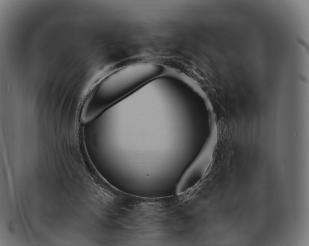 X0000091680150200709131554