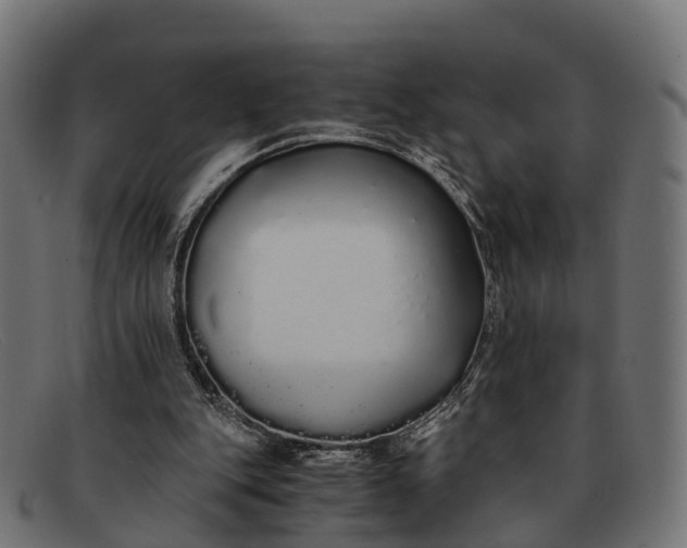 X0000091680151200709131554