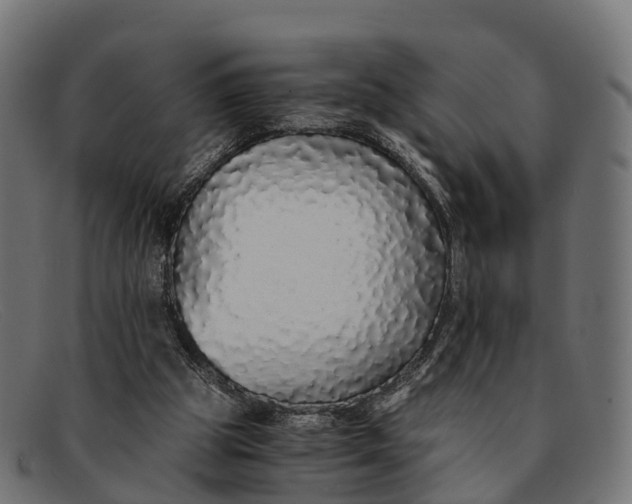 X0000091680153200709131554