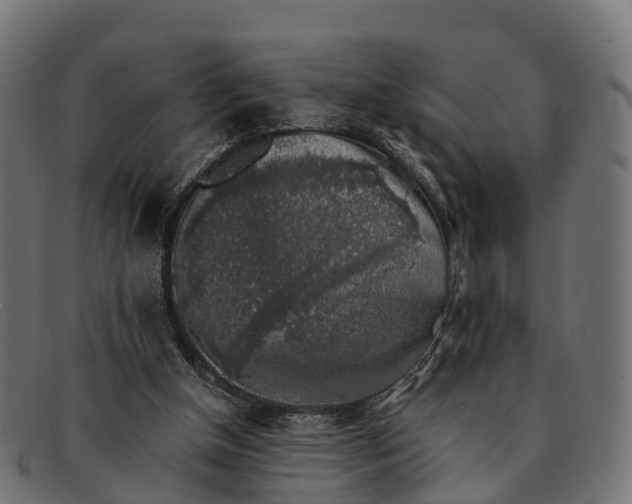 X0000091680154200709131554